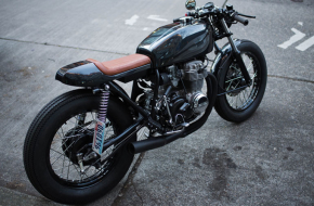 German Shepherd For Sale