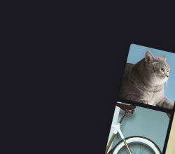 Original Classic Van